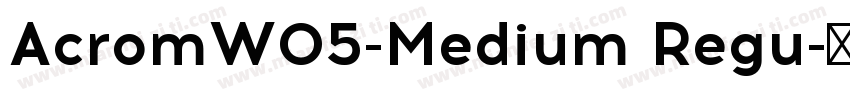 AcromW05-Medium Regu字体转换